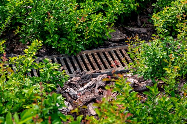 Underground Drainage Service in Longmont