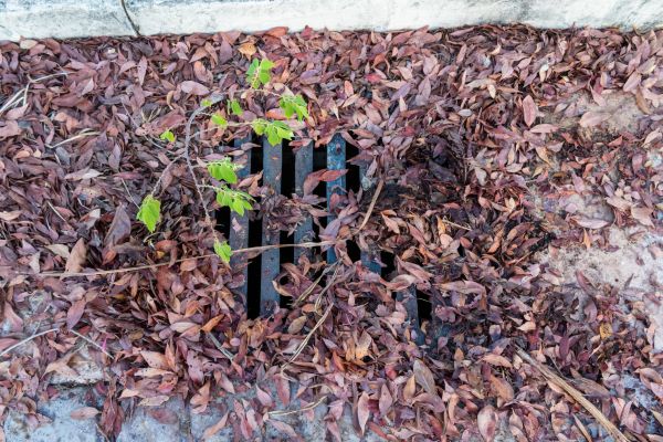 Yard Drain Unclogging in Longmont