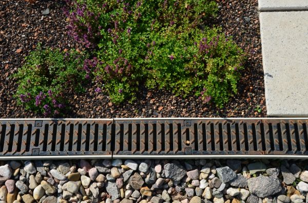 Lawn Drainage Repair in Longmont