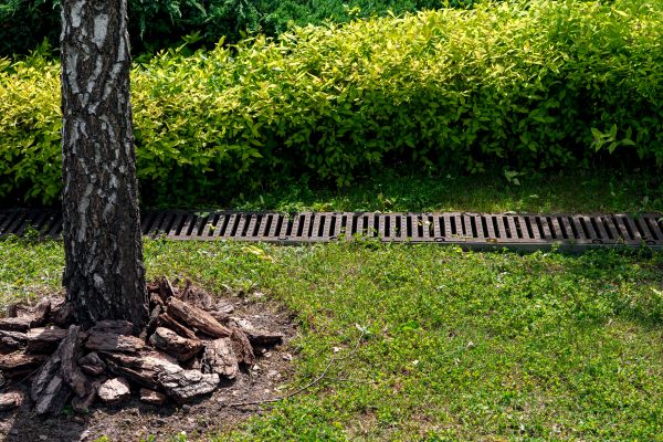 Cost of Yard Water Redirection in Longmont
