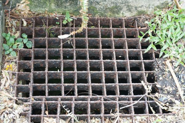 Yard Drain Cleaning in Longmont