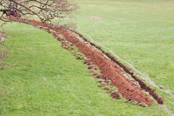Cost of Swale Installation in Longmont