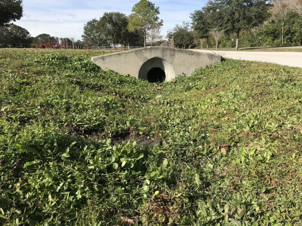 Cost of Swale Drainage Service in Longmont